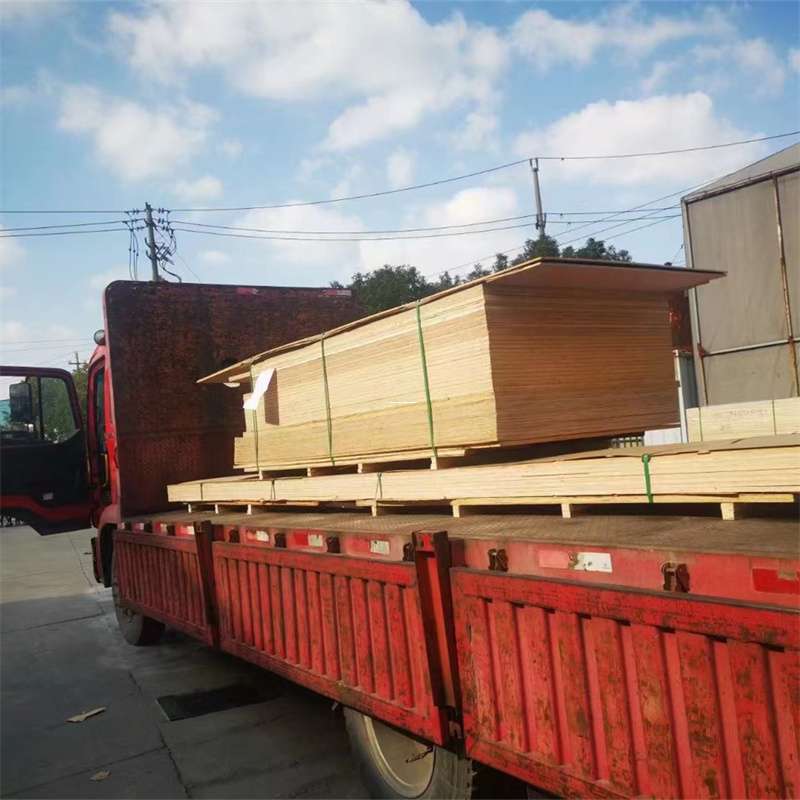 海南到河北物流公司——一站式服务，让货运更便捷